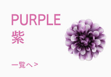 色で選ぶ紫色の髪飾り