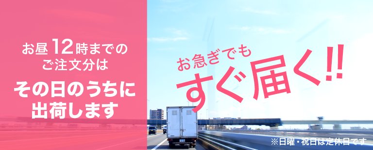 12時までの決済で即日発送 (日/祝休)